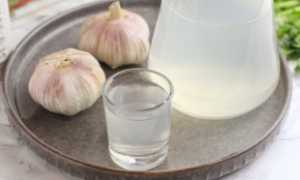 Как правильно настаивать и употреблять чеснок с водкой