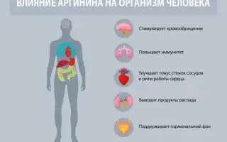 Аргинин — польза и вред важной для организма аминокислоты