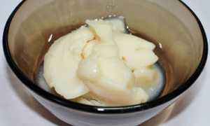 Барсучий жир — польза и вред в лечении кашля и других заболеваний