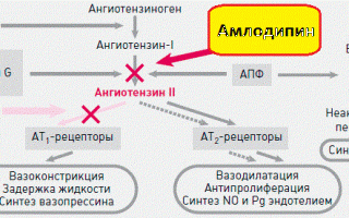 Какой их препаратов лучше Лозартан или Амлодипин и можно ли их принимать вместе?