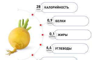 Польза и вред репы для здоровья