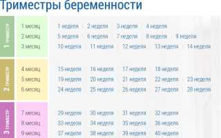 Как правильно считается срок беременности по неделям