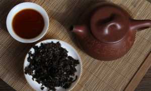 Чай пуэр: польза и вред для здоровья