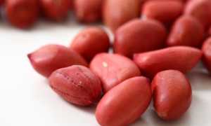 Сырой арахис: польза и вред для здоровья