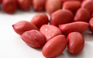 Сырой арахис: польза и вред для здоровья