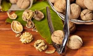 Орехи – жиросжигатели: вымысел или правда