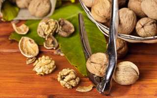 Орехи – жиросжигатели: вымысел или правда