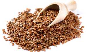 Уникальные семена льна: польза и вред для организма и здоровья человека