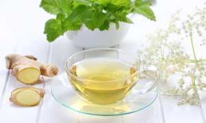 Имбирный чай: польза и вред популярного напитка