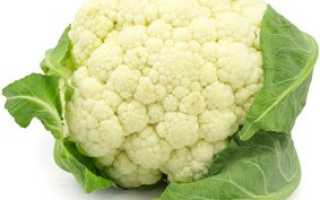 Цветная капуста: польза и вред для организма человека