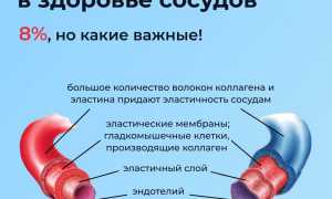 Польза коллагена для сосудов и сердца