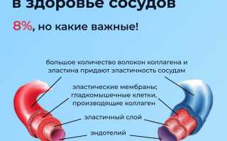 Польза коллагена для сосудов и сердца