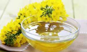 Масло рыжиковое: польза и вред ценного продукта на вашей кухне