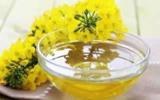 Масло рыжиковое: польза и вред ценного продукта на вашей кухне