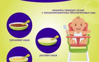 Первый прикорм каши как вводить