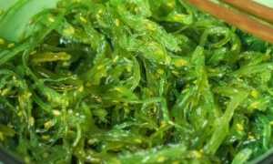 Водоросли чука — польза и вред морского деликатеса