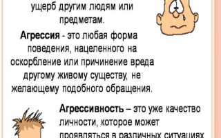 Как реагировать на оскорбления и агрессию своих детей