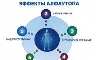 Дешевые и доступные заменители Алфлутопа: ТОП 13 аналогов