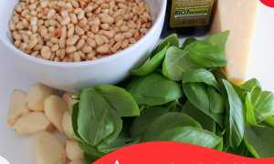 Кедровое масло: польза и вред сибирского эликсира здоровья