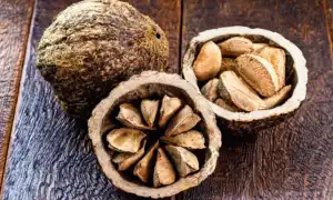 Редкие и вкусные бразильские орехи
