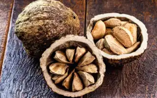 Редкие и вкусные бразильские орехи