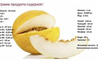 Дыня – польза и вред для человека