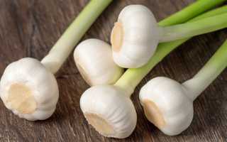 Как будет чувствовать себя печень при ежедневном употреблении чеснока