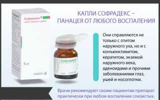 ТОП аналогов препарата Софрадекс: чем заменить глазные и ушные капли?
