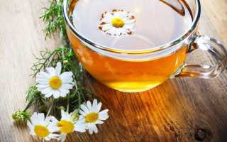 Целительный напиток: полезные свойства ромашкового чая для женского, мужского и детского здоровья