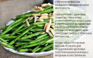 Польза и вред стручковой фасоли. Лечебные качества овоща