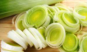 Лук порей — польза и вред необычного овоща