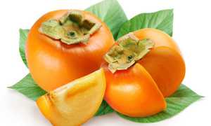 Хурма: польза и вред оранжевого лакомства