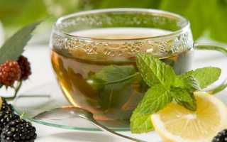 Чай с мелиссой польза и вред