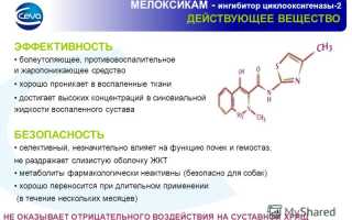 ТОП 15 аналогов препарата Мелоксикам: список недорогих заменителей