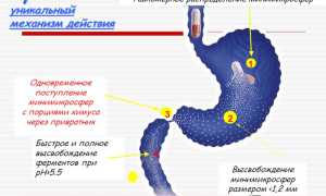 ТОП 13 дешевых и эффективных аналогов препарата Креон для взрослых и детей