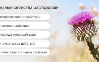 Расторопша – польза и вред любимого растения