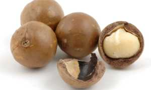 Такой знакомый незнакомец — орех макадамия : польза и вред