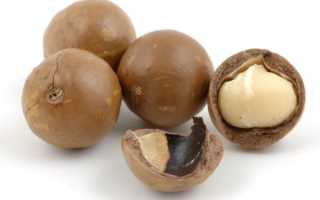 Такой знакомый незнакомец — орех макадамия : польза и вред