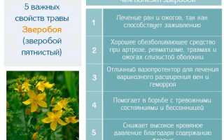 Инструкция по применению Ново-Пассита и отзывы о препарате