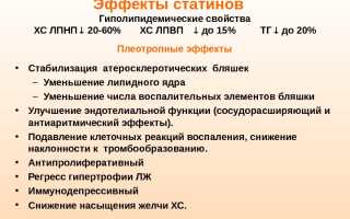 Чем отличается препарат Аторис от Аторвастатина и какой из них лучше?
