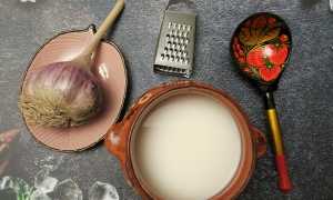 Чеснок в молоке натощак – мощное лечебное средство
