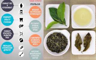 Молочный улун — польза и вред зеленого чая