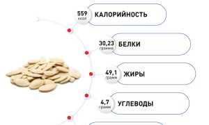 Тыквенные семечки против подсолнечных — какие полезнее?
