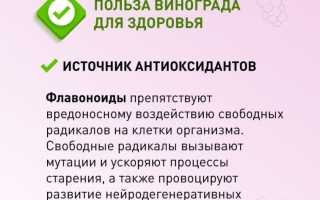 Виноград – польза и вред для организма