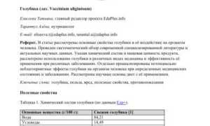 Почему голубику нужно есть в августе и в чём её польза?