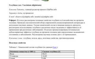 Почему голубику нужно есть в августе и в чём её польза?
