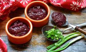 Готовим ткемали из слив на зиму, самый вкусный рецепт