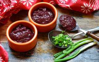 Готовим ткемали из слив на зиму, самый вкусный рецепт