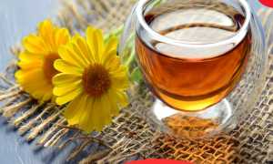 Календула – лечебные свойства и противопоказания для профилактики и лечения заболеваний