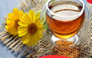 Календула – лечебные свойства и противопоказания для профилактики и лечения заболеваний